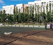 Газон на Московском проспекте